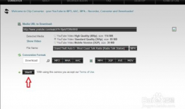 youtube怎么下载视频,详细步骤与工具推荐